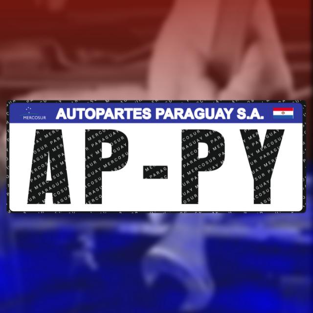 AUTO PARTES PARAGUAY SA